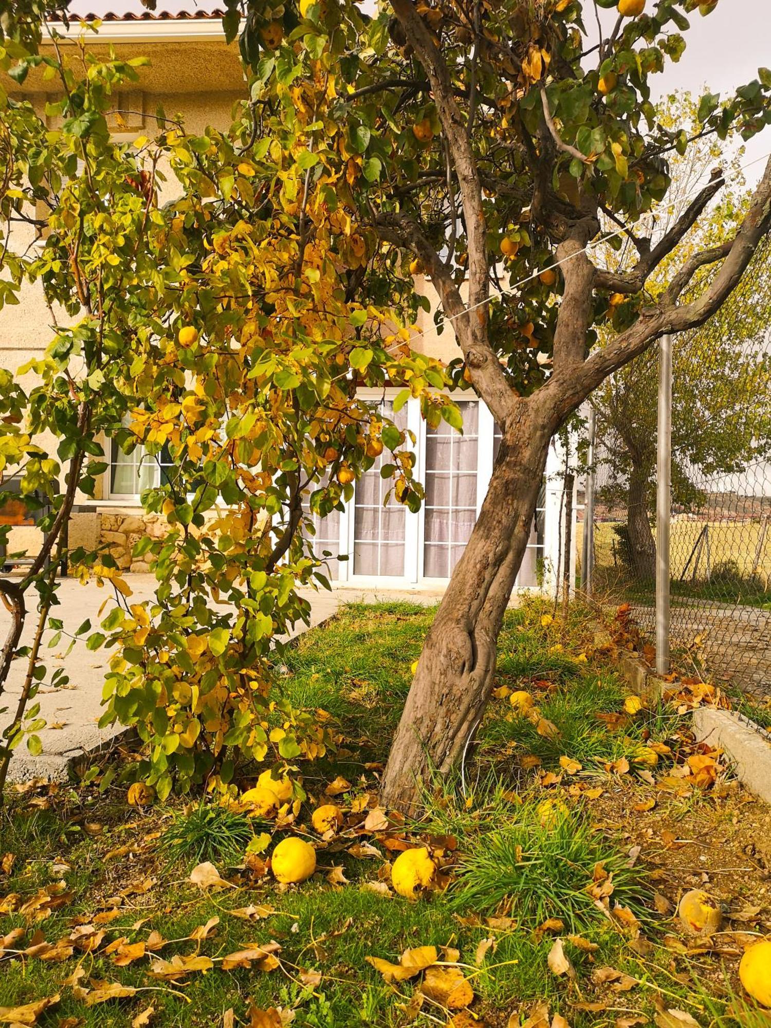 Villa Agradable casa con jardín: Casasola San Cristóbal de Segovia Exterior foto